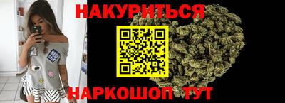 Альфа ПВП Бийск