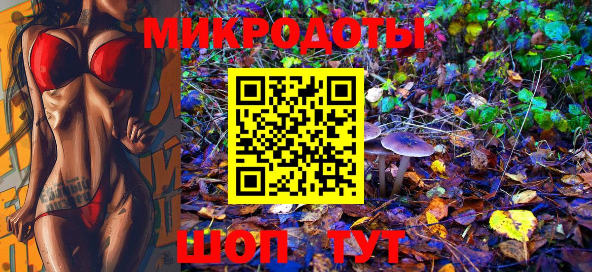 Псилоцибиновые грибы Psilocybe Кандалакша