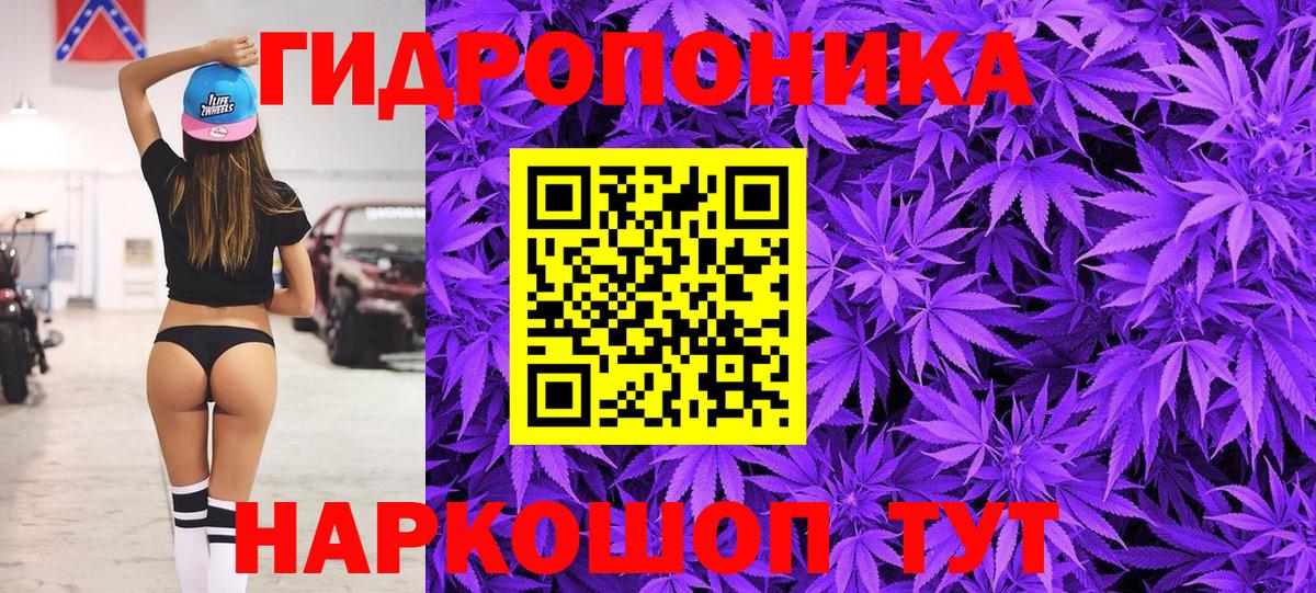 МАРИХУАНА сатива Кандалакша